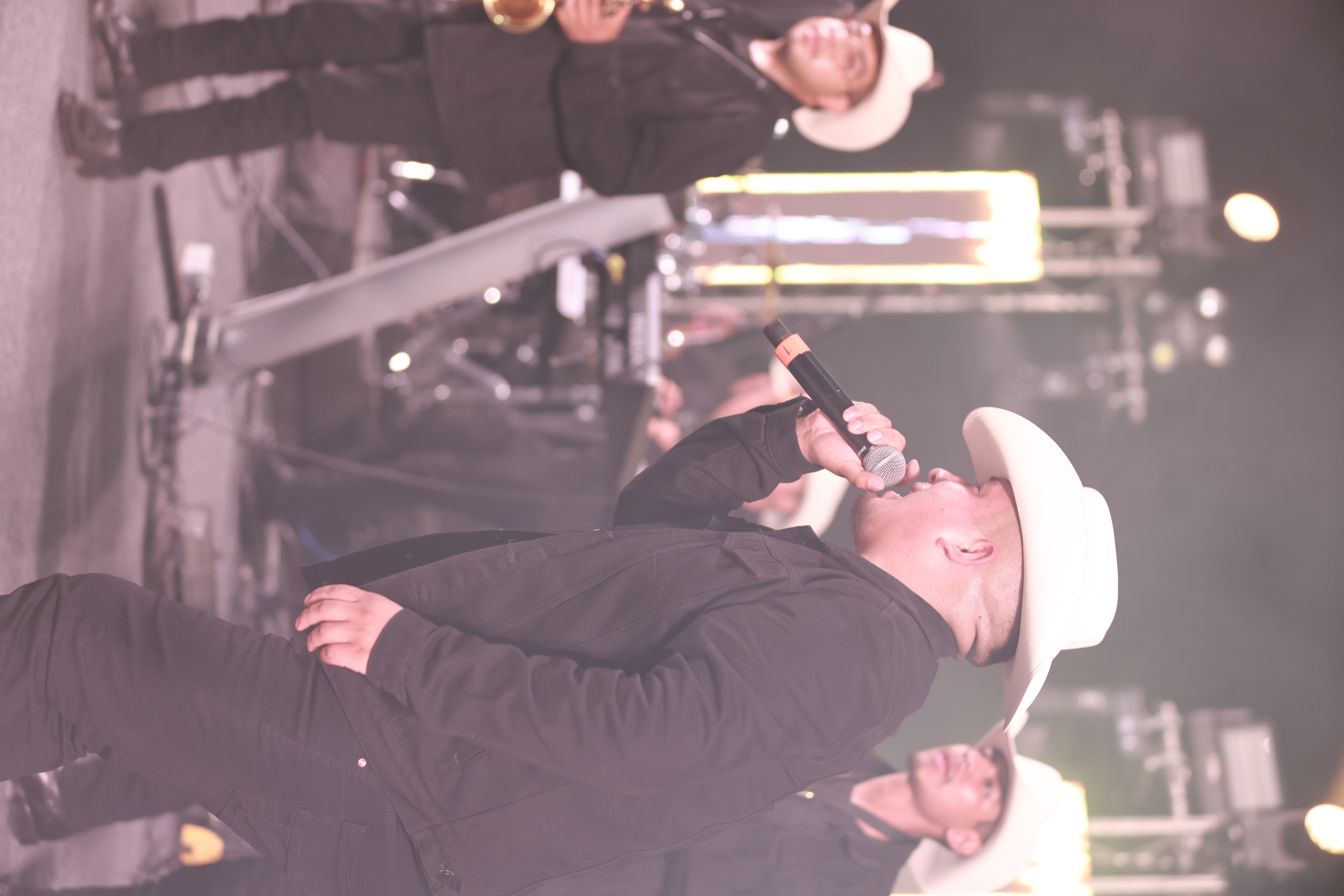 Acordeonista en el escenario